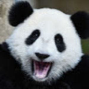 Meet your Posher, Samuel